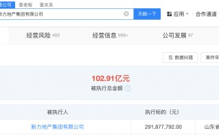 新力地产等被强制执行2.9亿